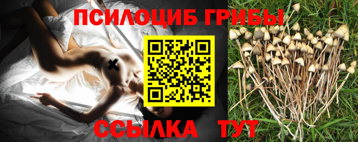 Кемерово  Псилоцибиновые грибы Magic Shrooms  Вход с VPN  Галлюциногенные грибы мухоморы 